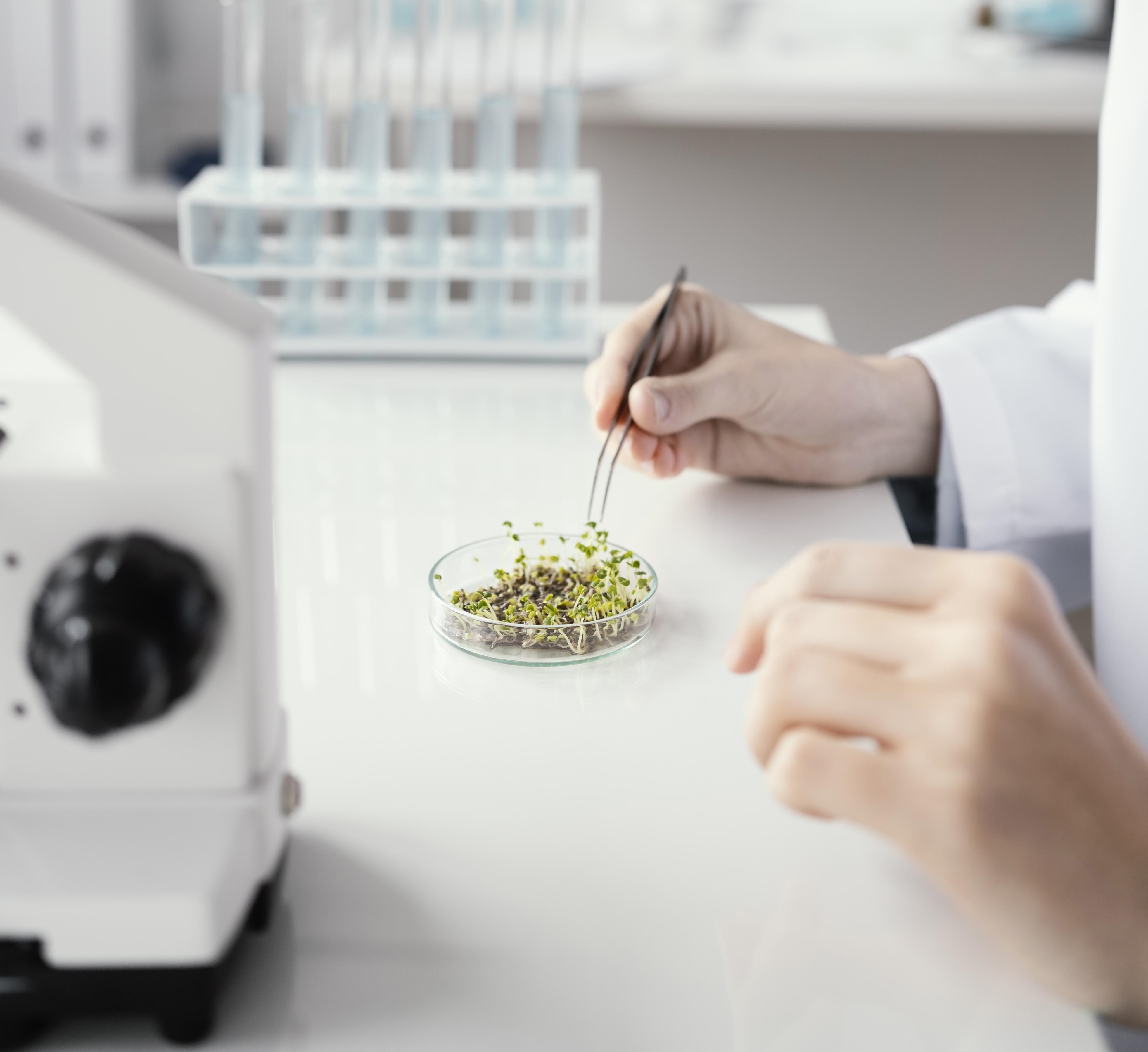 Novos Estudos sobre Dieta Cetogênica